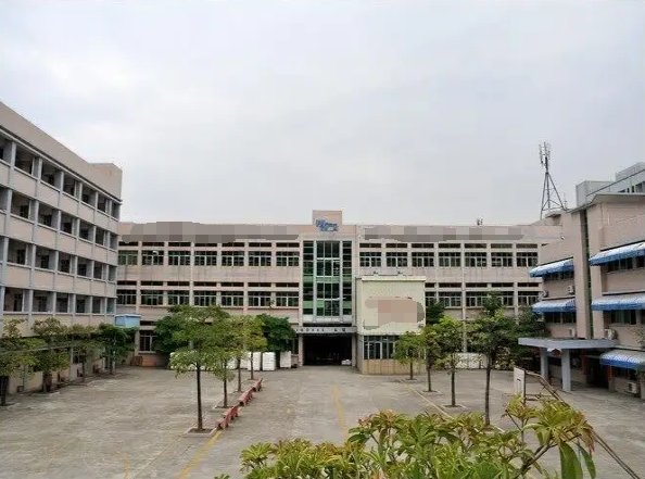 恭喜東莞市**包裝科技有限通過(guò)ISO9001年審