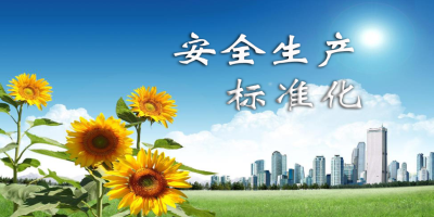 安全生產(chǎn)標(biāo)準(zhǔn)化