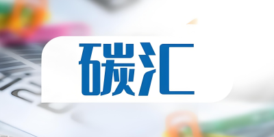 什么是碳匯？